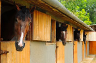 free Catlodge stable construction quotes